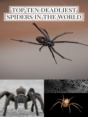 cover image of Top Ten Deadliest Spiders in the World